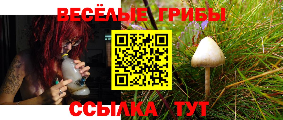 дарнет шоп  Галлюциногенные грибы Cubensis  Вход с VPN  Кинель 